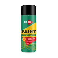 Paint Remover